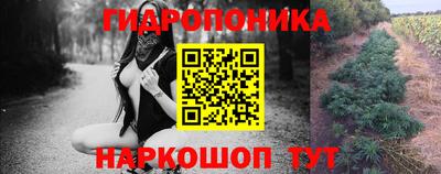 мдпв Брянск
